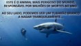 /album/galeria-de-fotos-/a5704-258733630935743-1044444664-n-jpg/